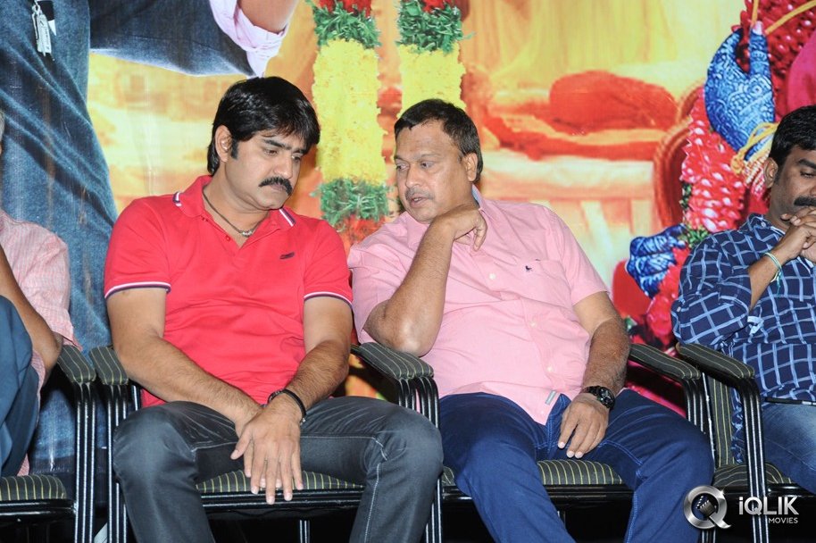Malligadu-Marriage-Bureau-Movie-Platinum-Disc-Function